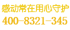 先锋保险柜